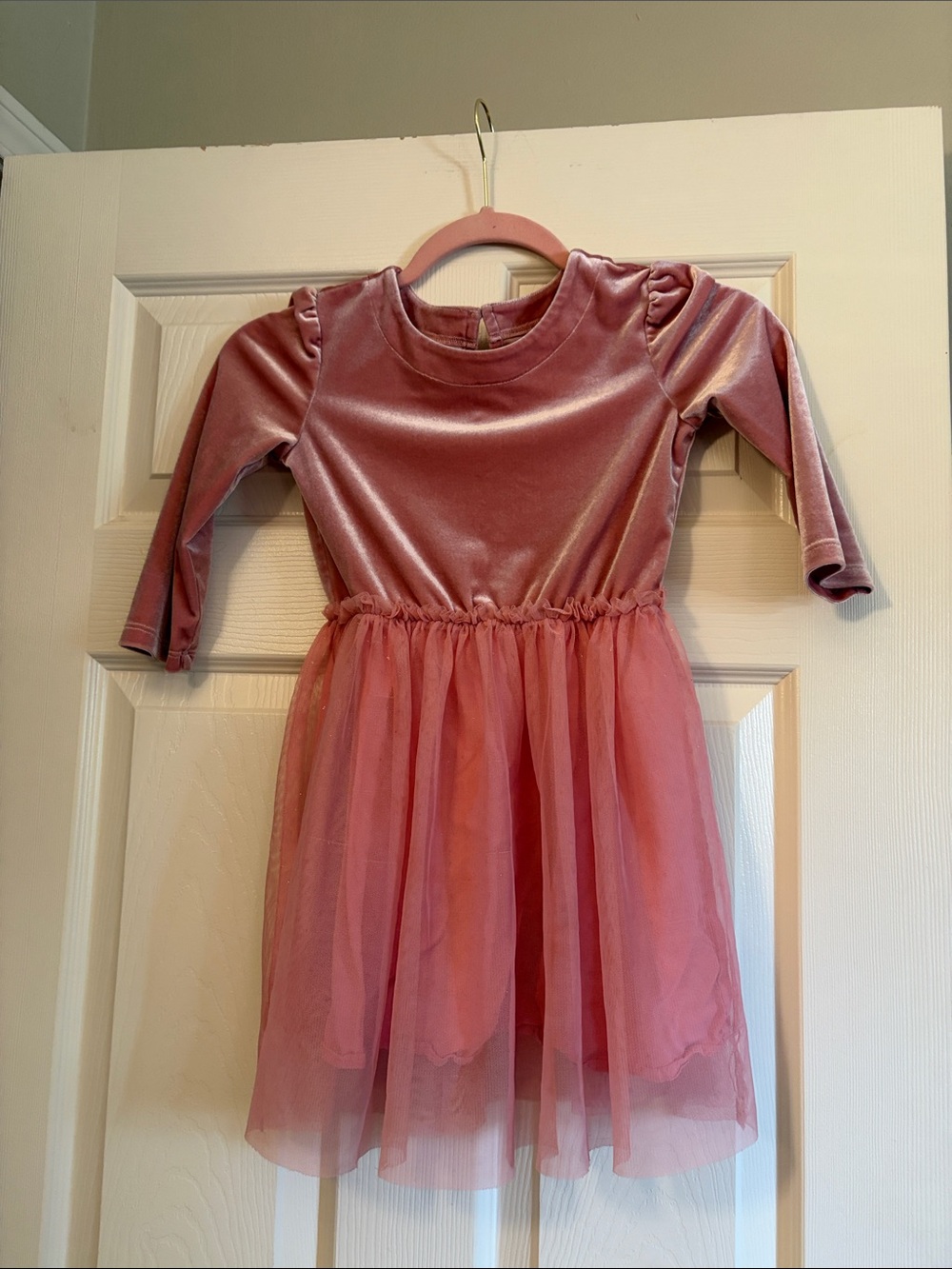 GAP Girls Rose Pink Velvet Bodice with Tulle Skirt Costume
